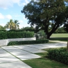 Coral Gables Residence - North Greenway Drive